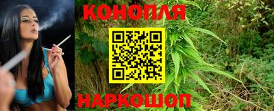 тгк Ипатово