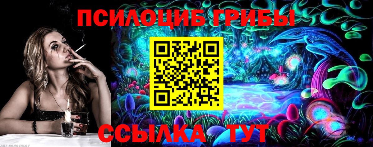 Дербент  Галлюциногенные грибы мицелий  Вход с VPN 
